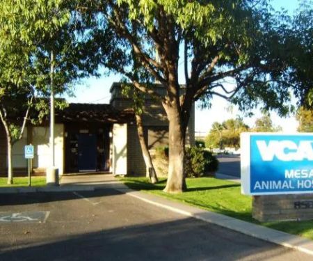 VCA Mesa Animal Hospital