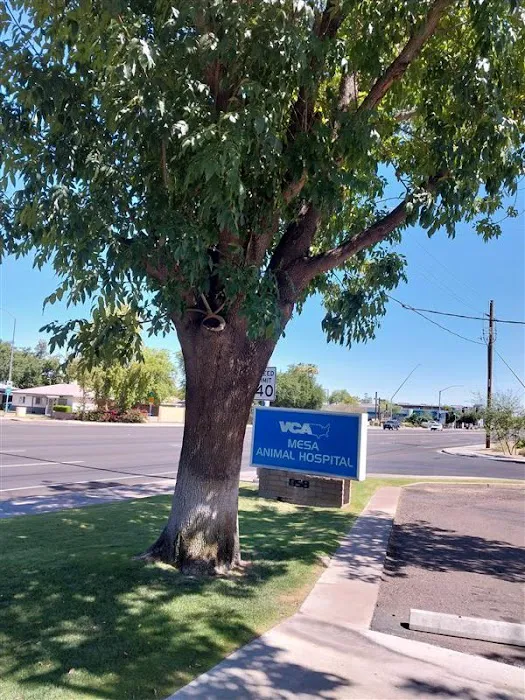 VCA Mesa Animal Hospital Picture 10