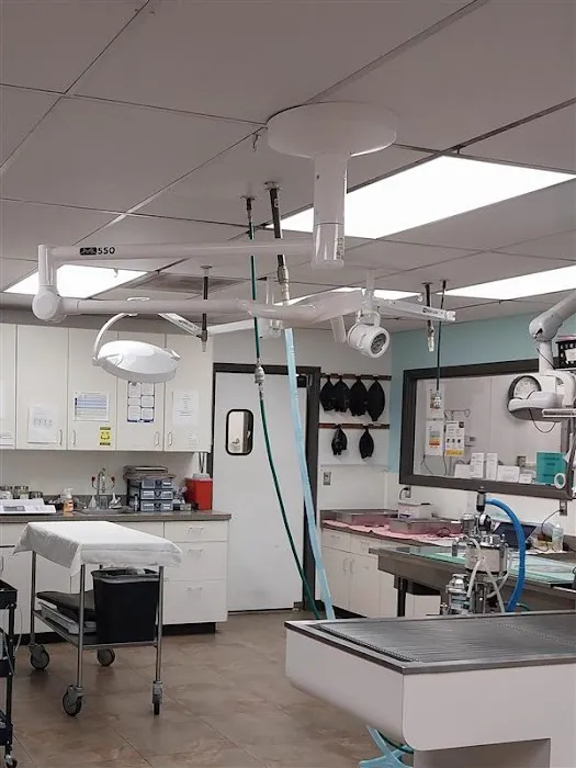 VCA Mesa Animal Hospital Picture 9