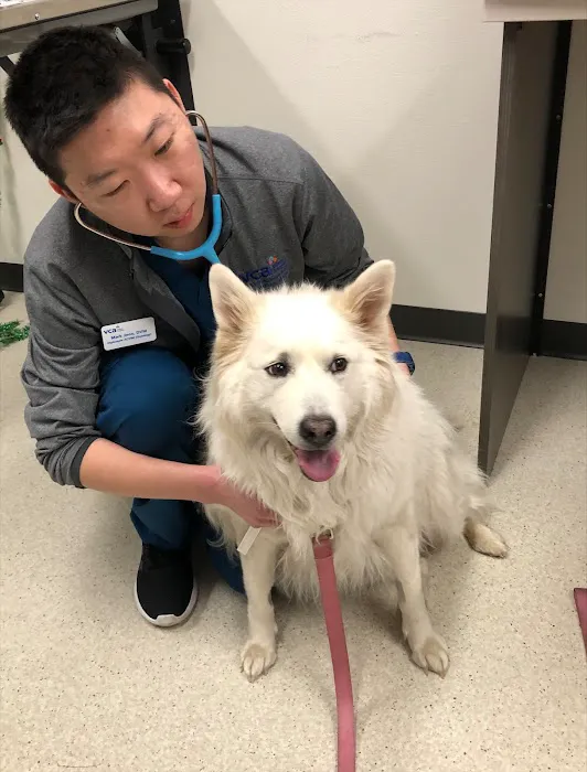 VCA Animal Referral and Emergency Center of Arizona Picture 3