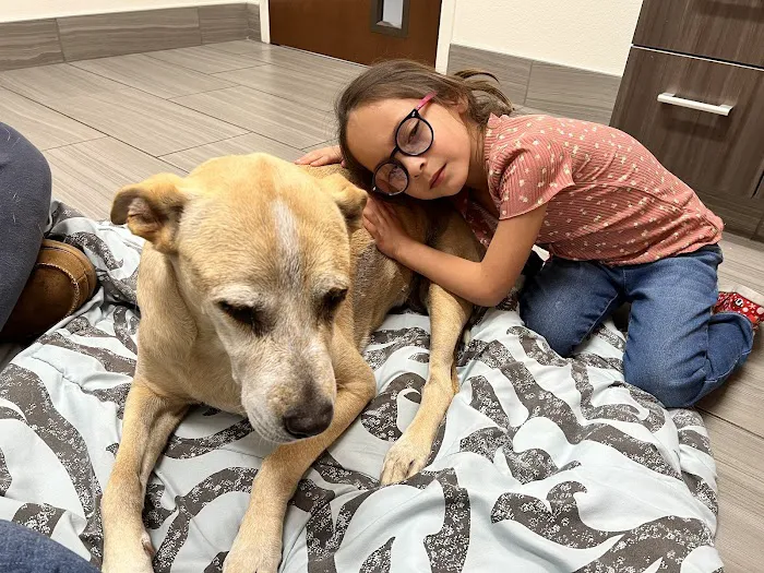 VCA Animal Referral and Emergency Center of Arizona Picture 10