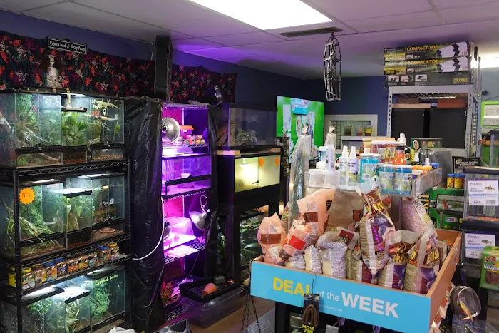 Supreme Exotics LLC - Coral's & Exotic Animal's Reptiles Picture 3