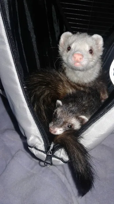 Arizona Exotic Animal Hospital (Mesa) Picture 3