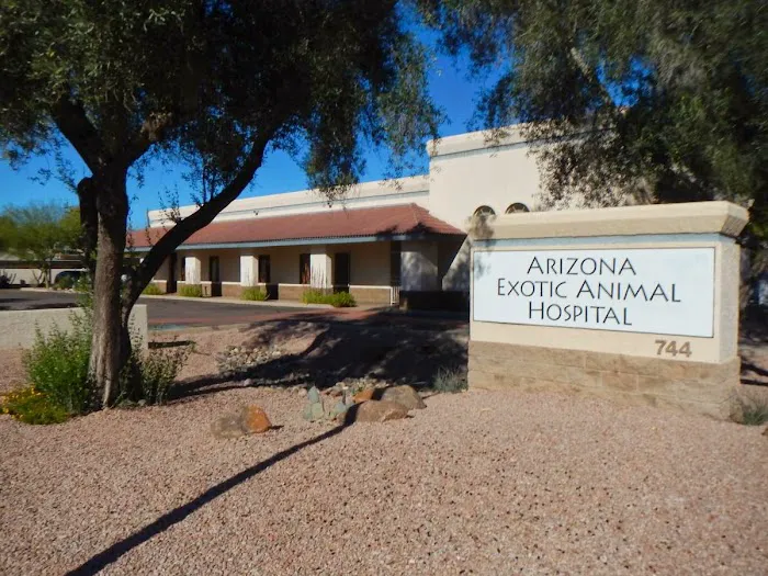 Arizona Exotic Animal Hospital (Mesa) Picture 5