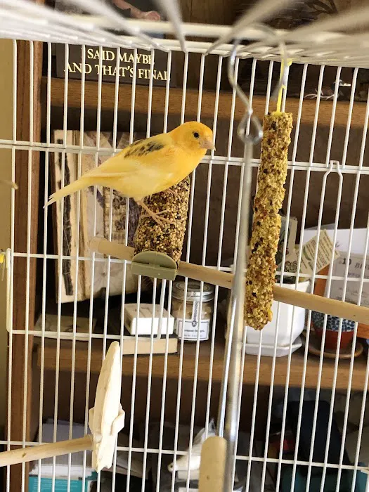 Arizona Exotic Animal Hospital (Mesa) Picture 7