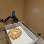 Arizona Exotic Animal Hospital: Johnson Jay DVM