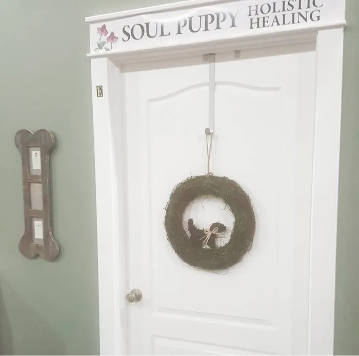 Soul Puppy Holistic Healing Picture 9