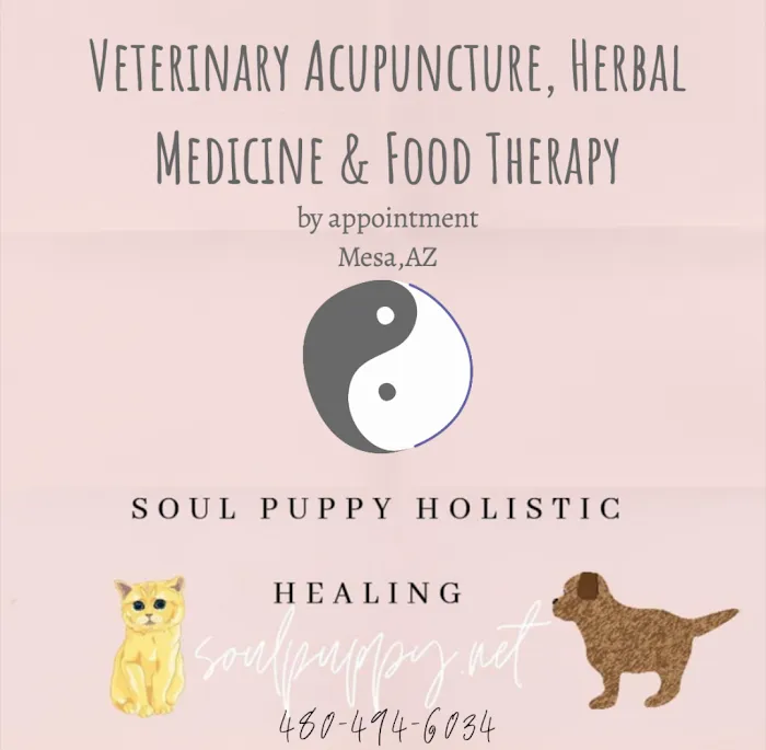 Soul Puppy Holistic Healing Picture 2