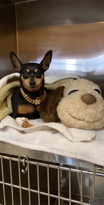 Best Friends Animal Hospital Picture 3
