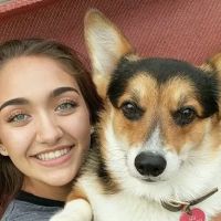 Best Friends Animal Hospital ico