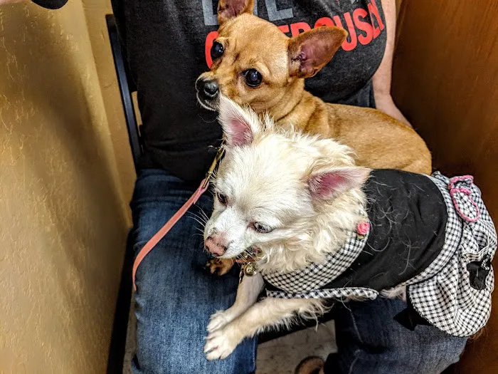 Best Friends Animal Hospital Picture 5
