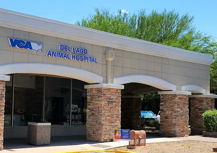 VCA Del Lago Animal Hospital Picture 9