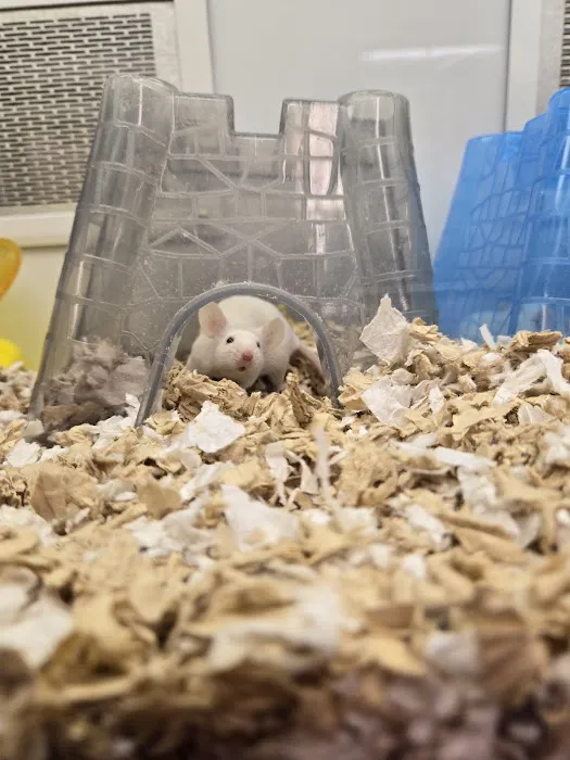 Petco Picture 10