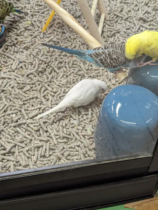 Petco Picture 5
