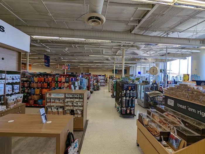 Petco Picture 7