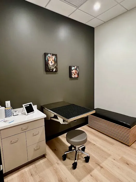 LUXE.VET Picture 4