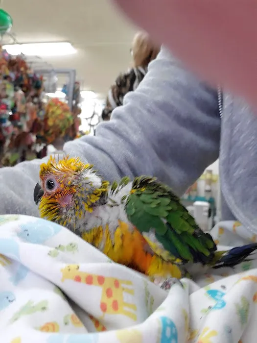 Birds, and Then Some! Picture 4