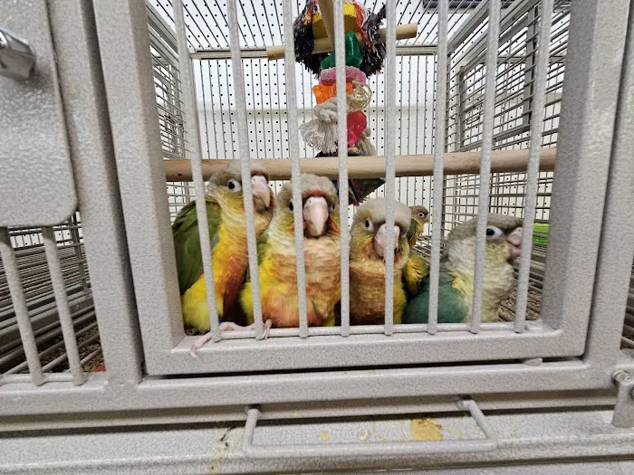 Birds, and Then Some! Picture 9