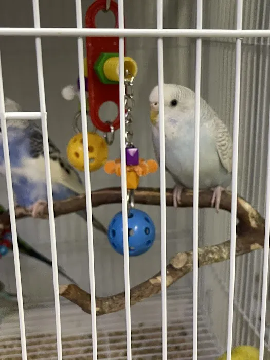 Birds, and Then Some! Picture 2