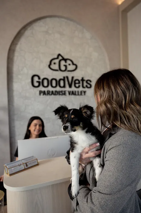 GoodVets Paradise Valley Picture 5