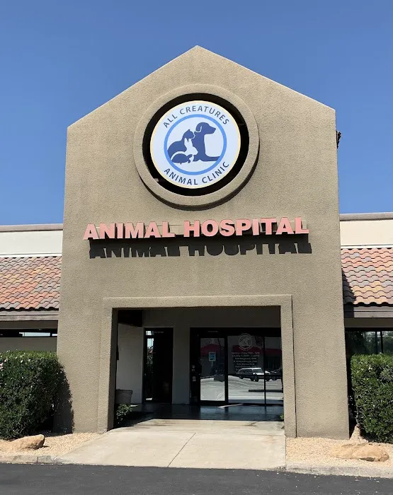 All Creatures Animal Clinic Picture 4