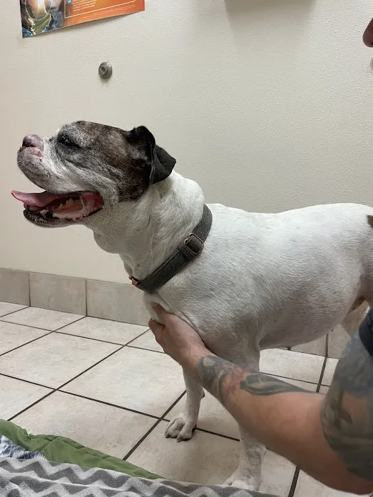 Pet Life Veterinary Clinic Paradise Valley Picture 8