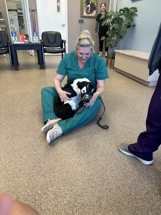 Stonecrest Animal Hospital Picture 4