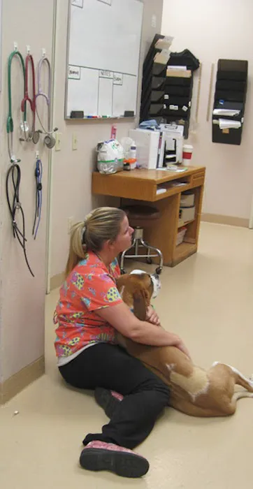 Stonecrest Animal Hospital Picture 1