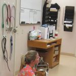 Stonecrest Animal Hospital