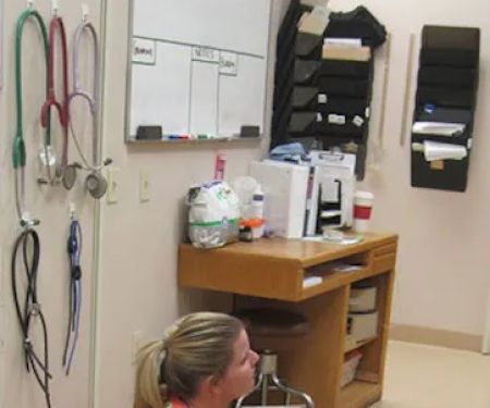 Stonecrest Animal Hospital