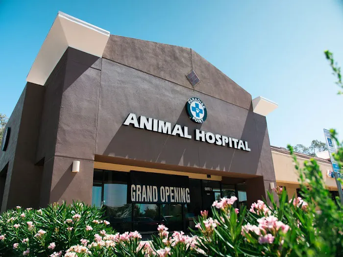 Paradise Point Animal Hospital with Veterinarians On-The-Go Picture 5