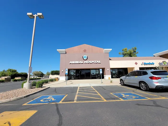 Paradise Point Animal Hospital with Veterinarians On-The-Go Picture 9