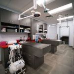 Paradise Point Animal Hospital with Veterinarians On-The-Go