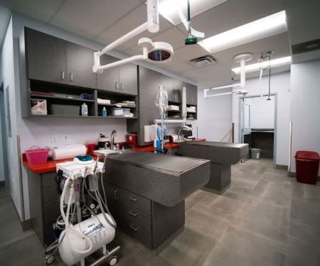 Paradise Point Animal Hospital with Veterinarians On-The-Go