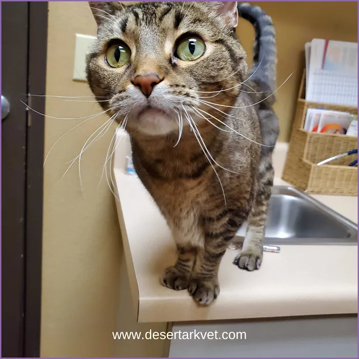 ArkVets Picture 8
