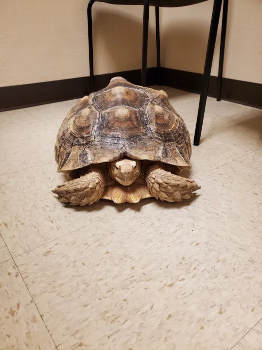 Arizona Exotic Animal Hospital (Phoenix) Picture 9