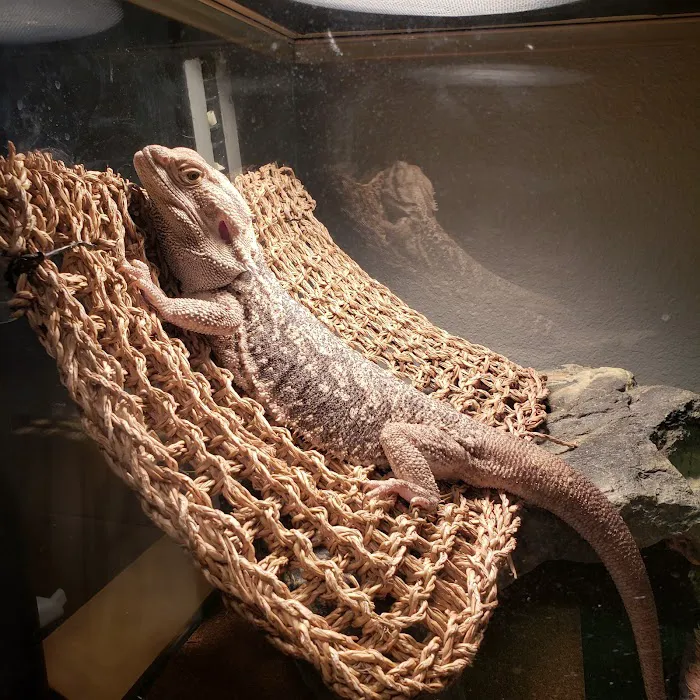 Arizona Exotic Animal Hospital (Phoenix) Picture 5