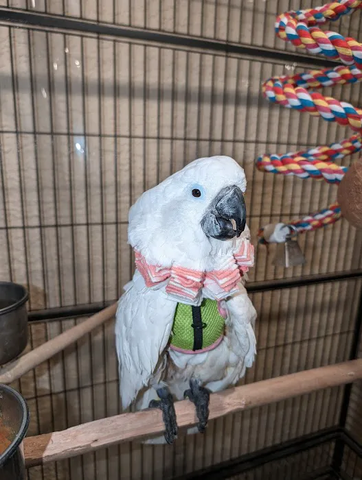 Arizona Exotic Animal Hospital (Phoenix) Picture 6