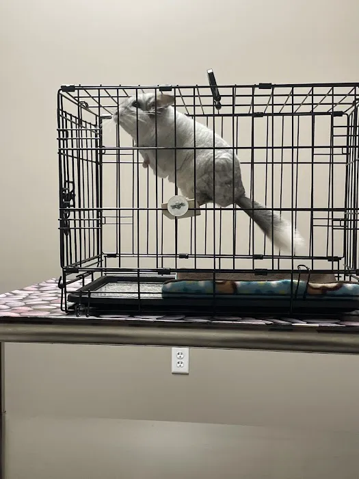 Arizona Exotic Animal Hospital (Phoenix) Picture 2