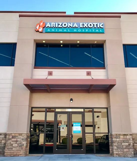 Arizona Exotic Animal Hospital (Phoenix) Picture 7