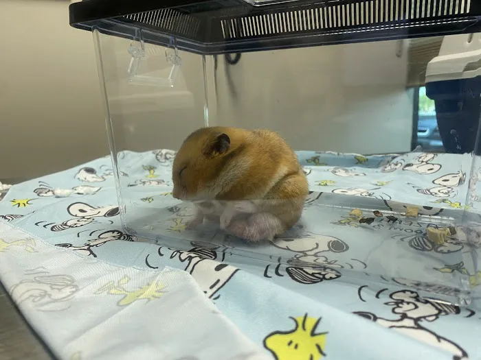 Arizona Exotic Animal Hospital (Phoenix) Picture 4