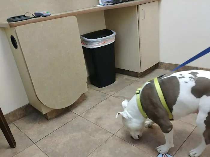 Lovet Pet Health Care - Westbrook Picture 8