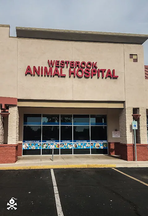 Lovet Pet Health Care - Westbrook Picture 10