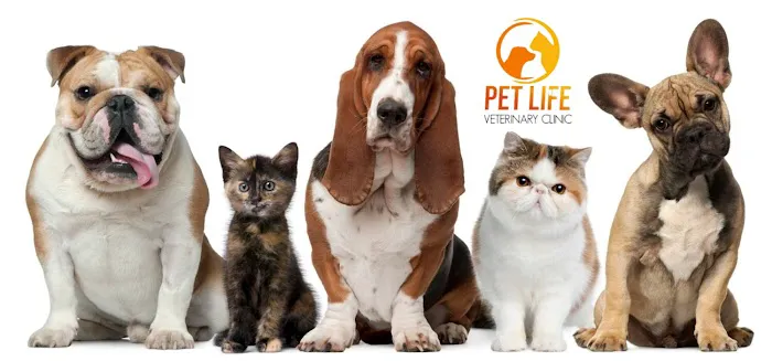 Pet Life Veterinary Clinic Picture 5