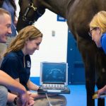 Midwestern University Large Animal Clinic