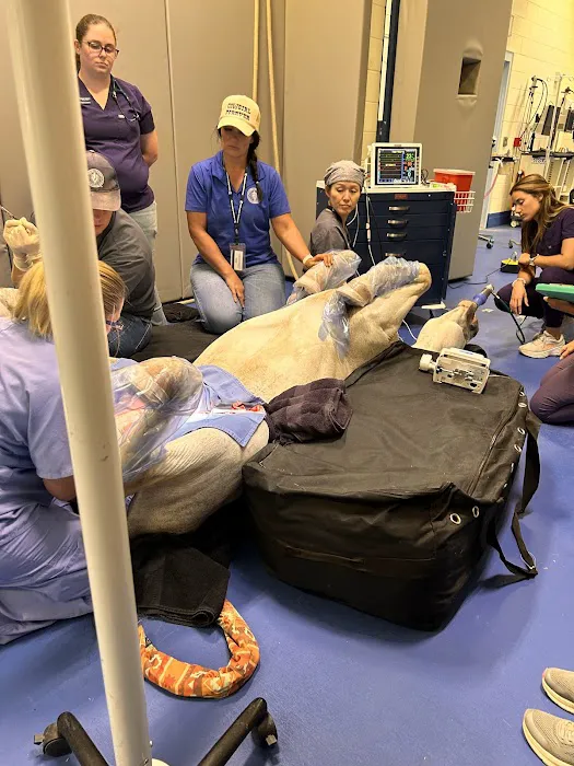 Midwestern University Large Animal Clinic Picture 8