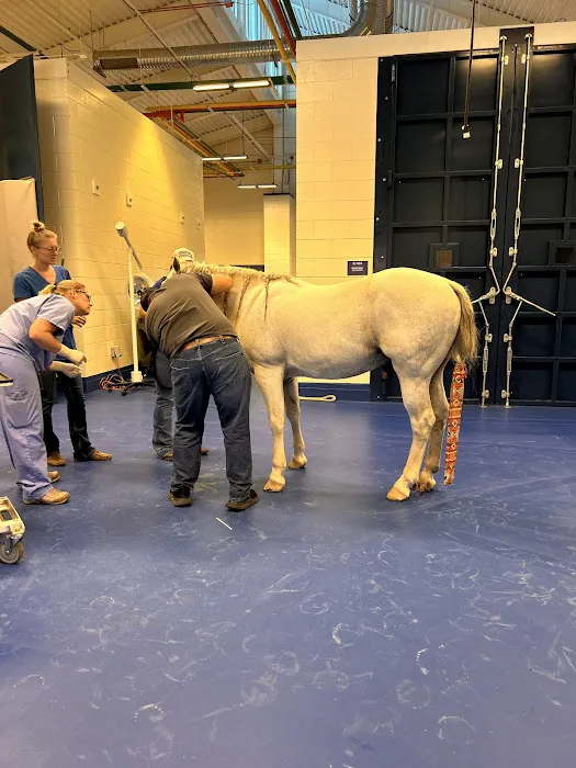 Midwestern University Large Animal Clinic Picture 6