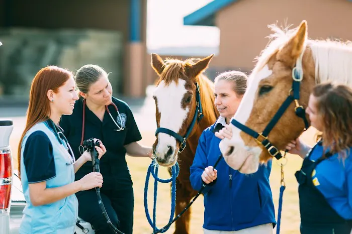 Midwestern University Large Animal Clinic Picture 2