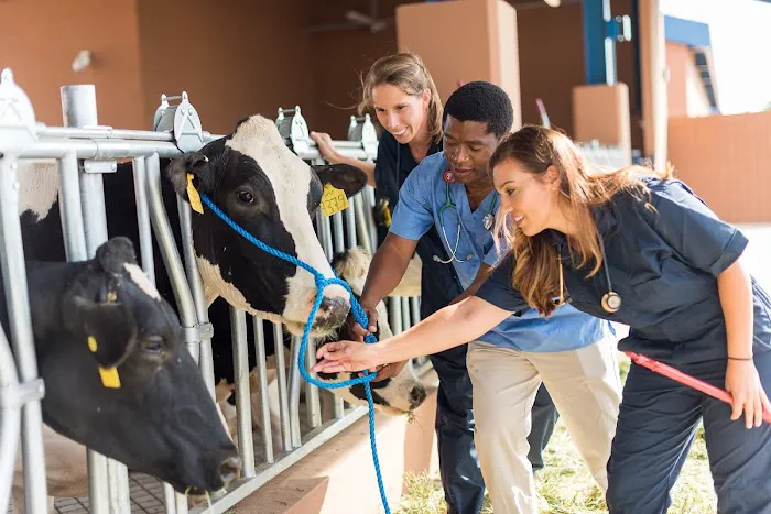 Midwestern University Large Animal Clinic Picture 5