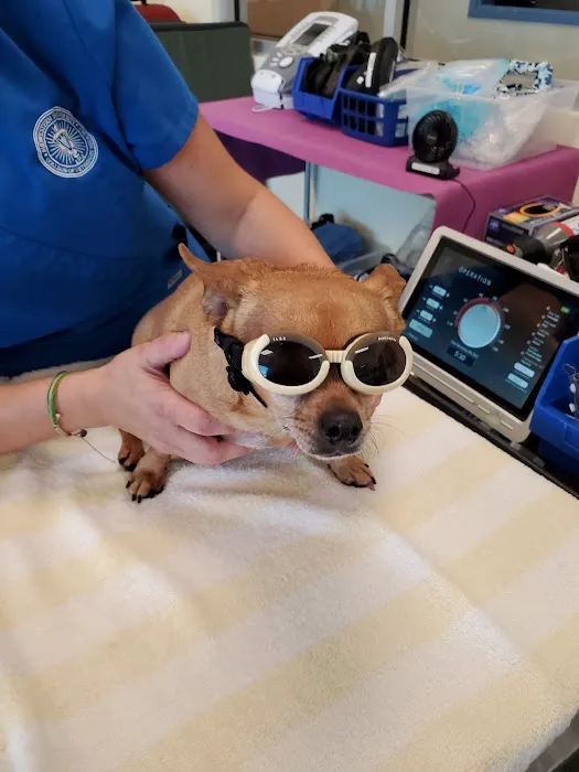 Midwestern University Companion Animal Clinic Picture 7